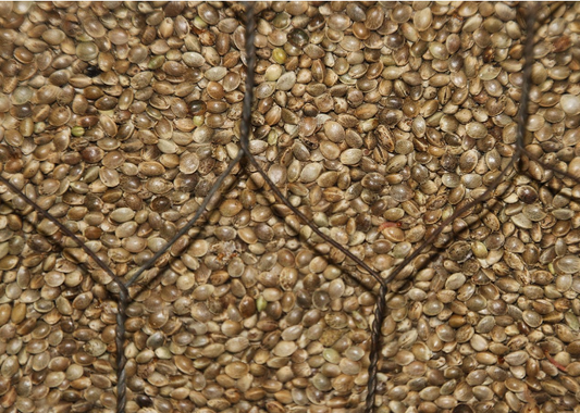 Parts of the hemp plant and their uses