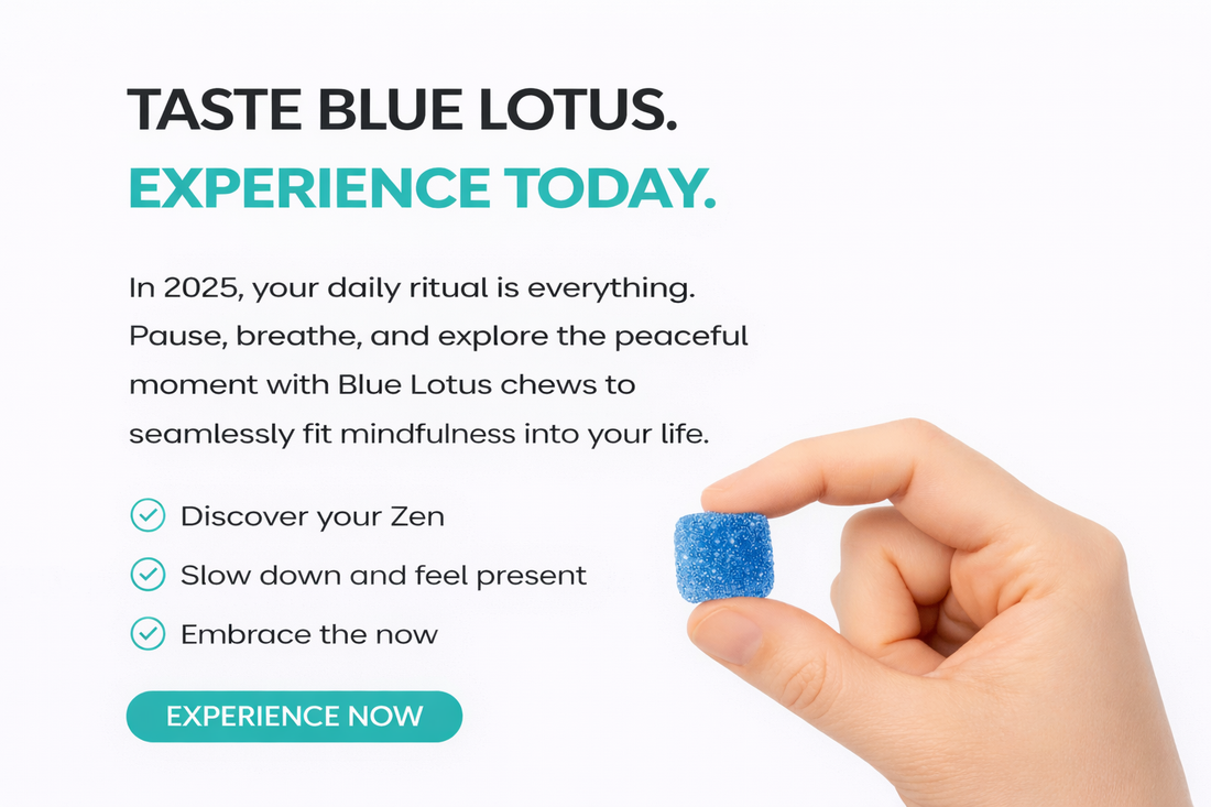 Olly Hair Skin Nails Vs : Side-by-Side Comparison (2026) — Blue Lotus Chews by Trust The Plant