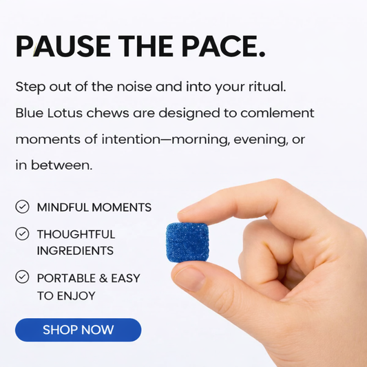 Best Ginseng for Afternoon Slump 2026 | Top Picks + Buying — Blue Lotus Chews by Trust The Plant
