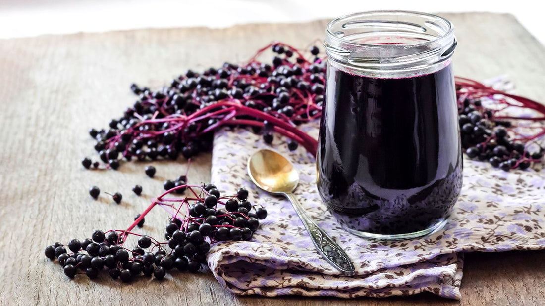 Research Decoded: Elderberry and Its Miracle Immunity Boosting Properties