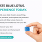 Blue Lotus Chews